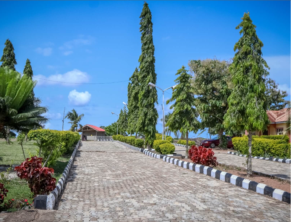 course image